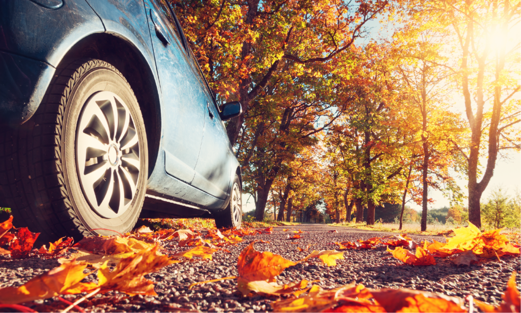 car driving on a road with fall leaves