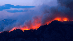 catastrophic property loss